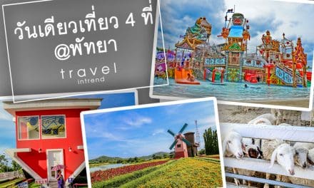 วันเดียวเที่ยว 4 ที่ @พัทยา