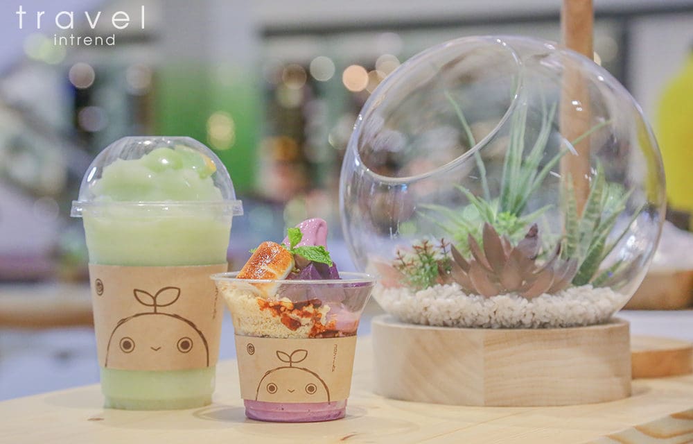 จากฟาร์มแสนอบอุ่นที่สวนผึ้ง สู่ร้านขนมกลางเมืองใหญ่ CORO FIELD มากรุงเทพฯแล้ววววว!!! อีกหนึ่งร้านขนมหวานที่น่าลอง