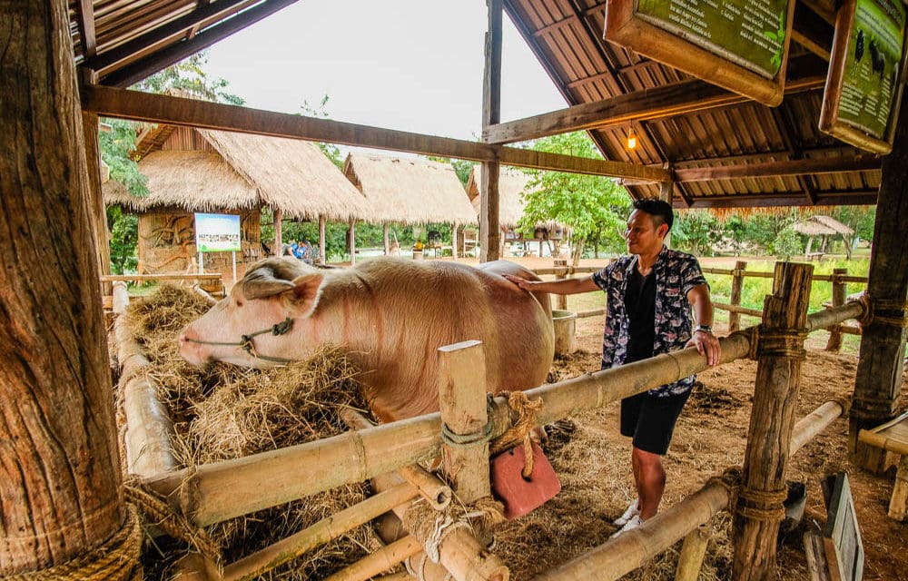 เที่ยวสระแก้ว เสน่ห์​เมืองรอง ธรรมชาติ​สร้างสรรค์ เส้นทางแห่งความสนุก