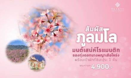 “โรงแรมชินะปุระ” ชวนนักเดินทาง ชมซากุระเมืองไทยที่ “ภูลมโล” กับแพ็คเกจสุดคุ้มรับลมหนาว