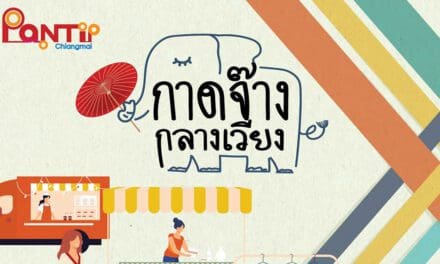 พันธุ์ทิพย์ เชียงใหม่ กระตุ้นการท่องเที่ยวหลังปลดล็อก เปิดพื้นที่รอบศูนย์การค้าฯให้ขายของฟรี! ถึง 31 ส.ค. นี้