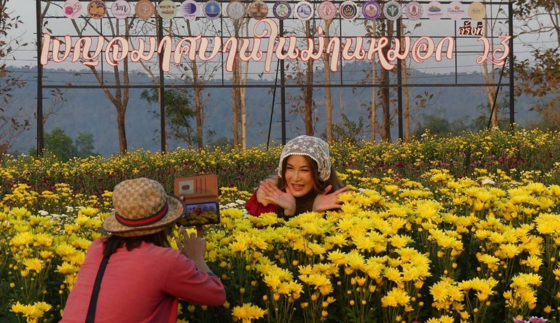 เบญจมาศบาน ในม่านหมอก ครั้งที่ 23 @วังน้ำเขียว