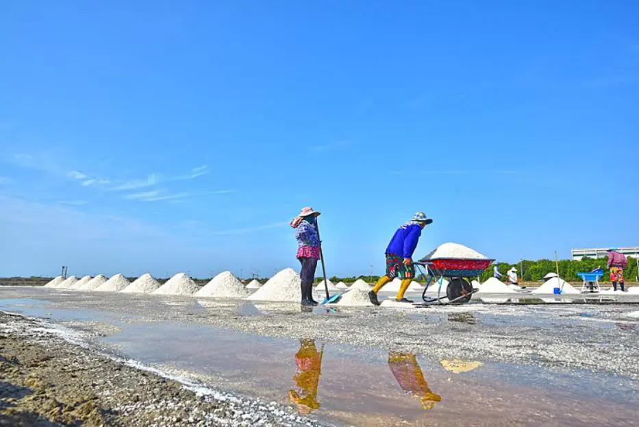 สมุทรสาคร ชู 3 เส้นทางท่องเที่ยว ประวัติศาสตร์-วัฒนธรรม-เกษตร หวังกระตุ้นเศรษฐกิจชุมชน