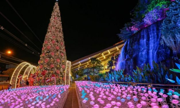 เดอะมอลล์ โคราช สร้างปรากฏการณ์ทุ่งดอกไม้ illumination นับหมื่นครั้งแรกในภาคอีสาน ในงาน “The Mall Shopping Center Joy of Giving Happy Factory”