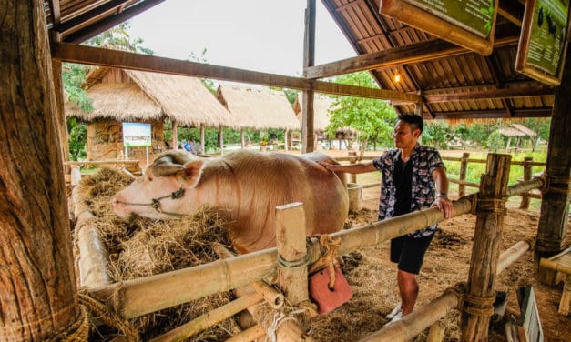 เที่ยวสระแก้ว เสน่ห์​เมืองรอง ธรรมชาติ​สร้างสรรค์ เส้นทางแห่งความสนุก