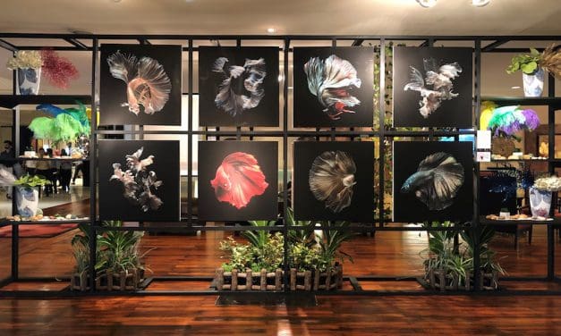 อนันตรา ริเวอร์ไซด์ กรุงเทพฯ ชวนชมงานศิลป์ริมแม่น้ำ กับนิทรรศการภาพถ่าย “ปลากัดไทยความงามแห่งสยาม”