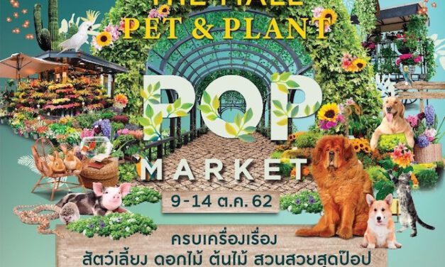 เดอะมอลล์ ช้อปปิ้งเซ็นเตอร์ จัดงาน “The Mall Pet & Plant Pop Market 2019” ครบเครื่องเรื่องสัตว์เลี้ยง ดอกไม้ ต้นไม้ และของตกแต่งบ้าน