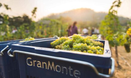 “ไร่องุ่นไวน์กราน-มอนเต้” มอบประสบการณ์สุดพิเศษ กับ “GranMonte Sparkling Harvest Festival 2020”