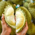 กรมส่งเสริมการเกษตร ร่วมกับ ศูนย์การค้า เดอะ มาร์เก็ต แบงคอก จัดงาน “The Color of Durian & Eastern fruits” ยกขบวนผลไม้อัตลักษณ์อันดับหนึ่งจาก 9 จังหวัดภาคตะวันออก เก็บสดจากมือชาวสวน …ชวนผู้บริโภคอิ่มอร่อยสุดคุ้มใจกลางเมือง 11 – 15 พ.ค. 65