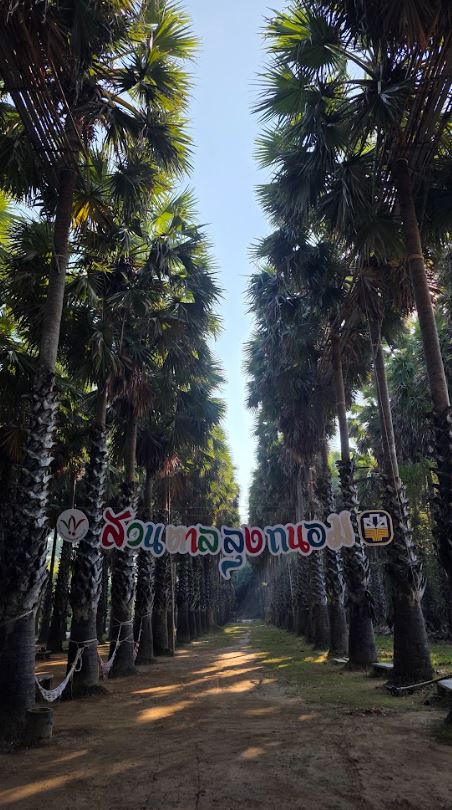 UNESCO Creative Cities